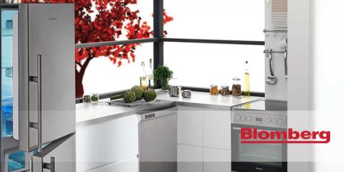 Blomberg Repair Las Vegas